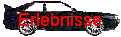 Erlebnisse