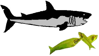 Fische